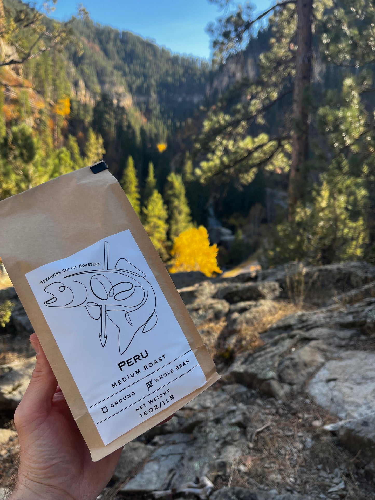 Peru - Medium Roast