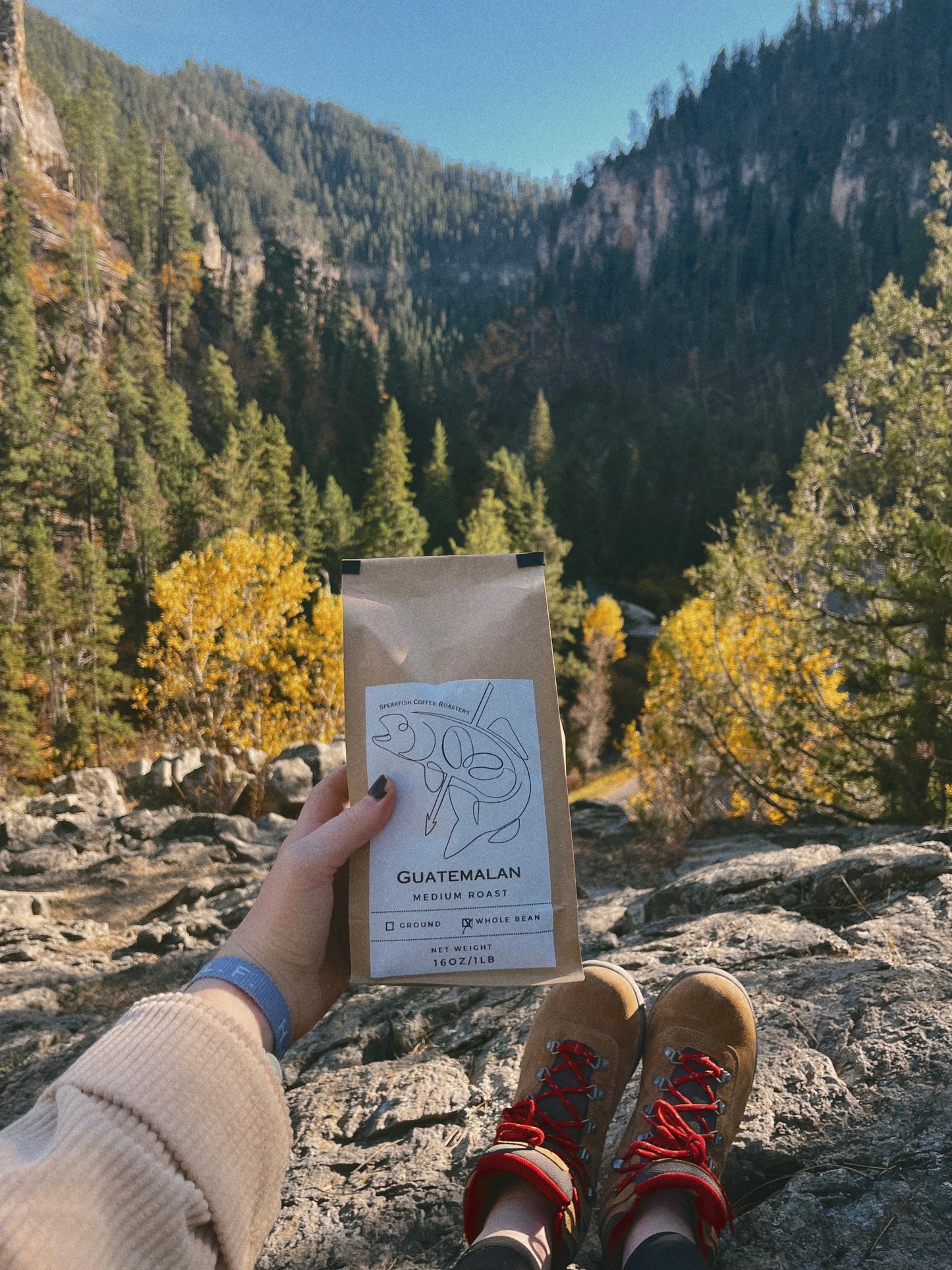 Guatemalan - Medium Roast