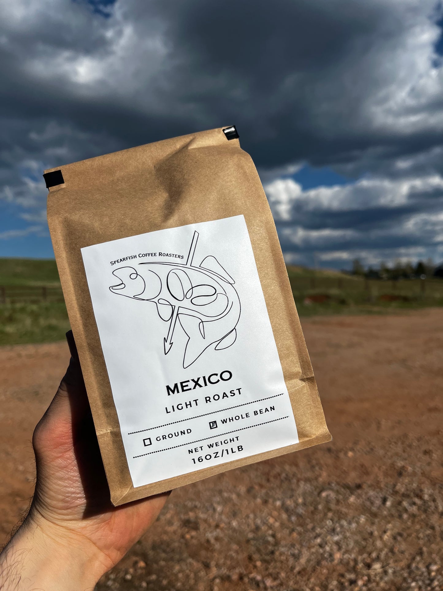 Mexico - Light Roast