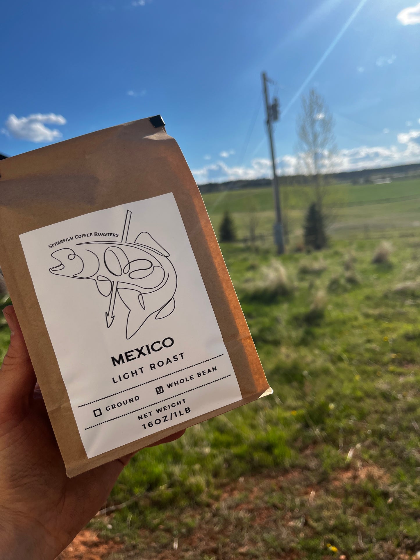Mexico - Light Roast