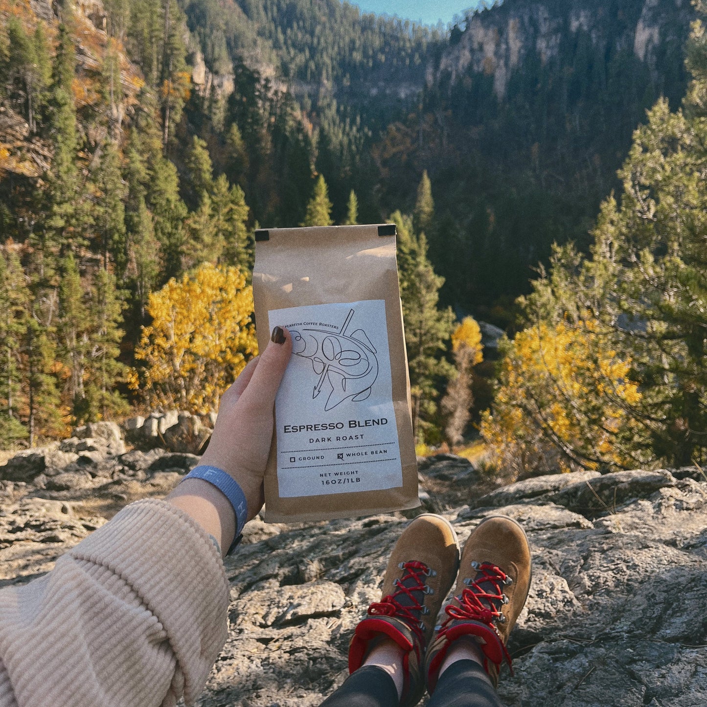 Espresso Blend - Dark Roast