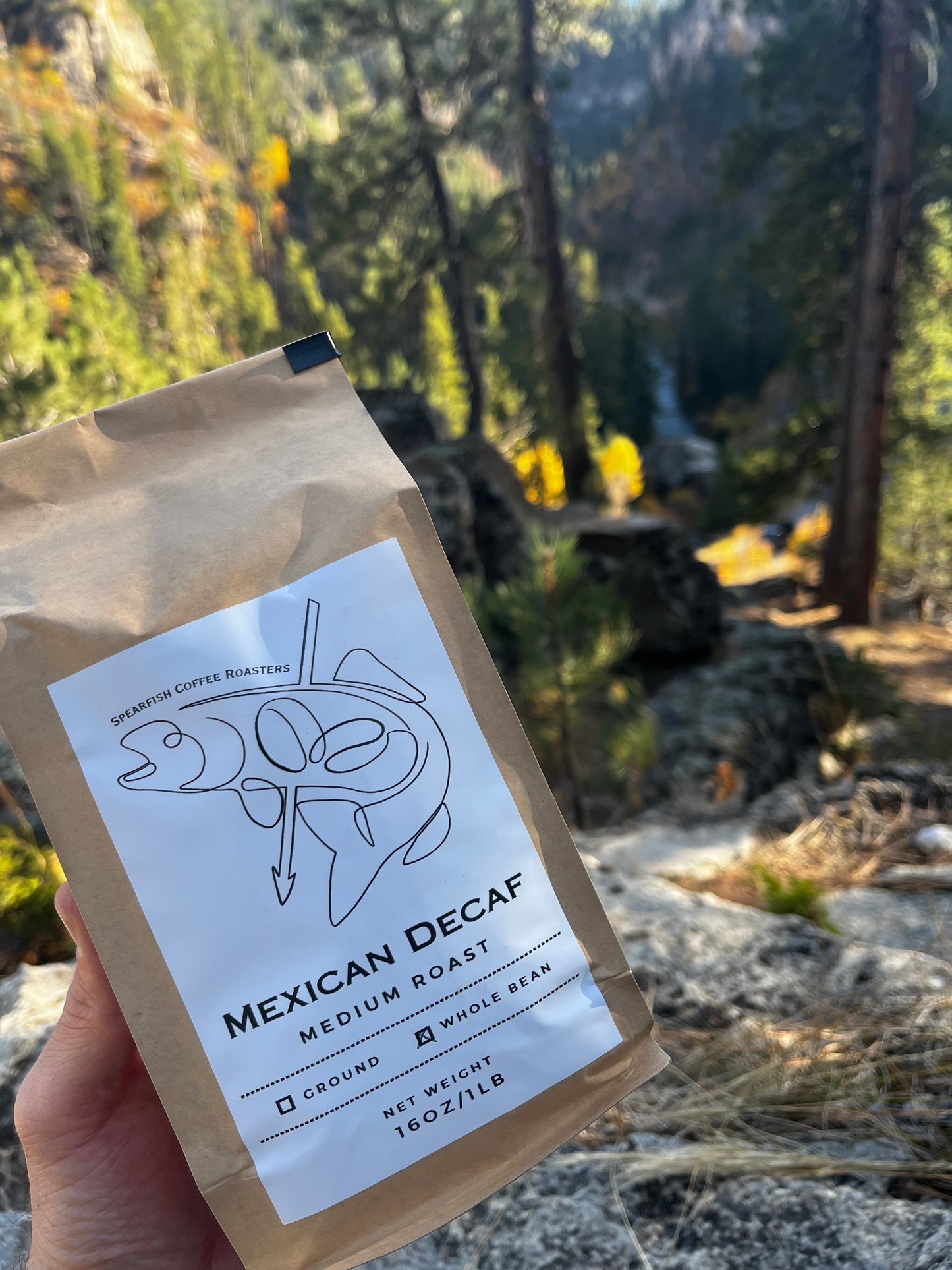 Decaf - Medium Roast