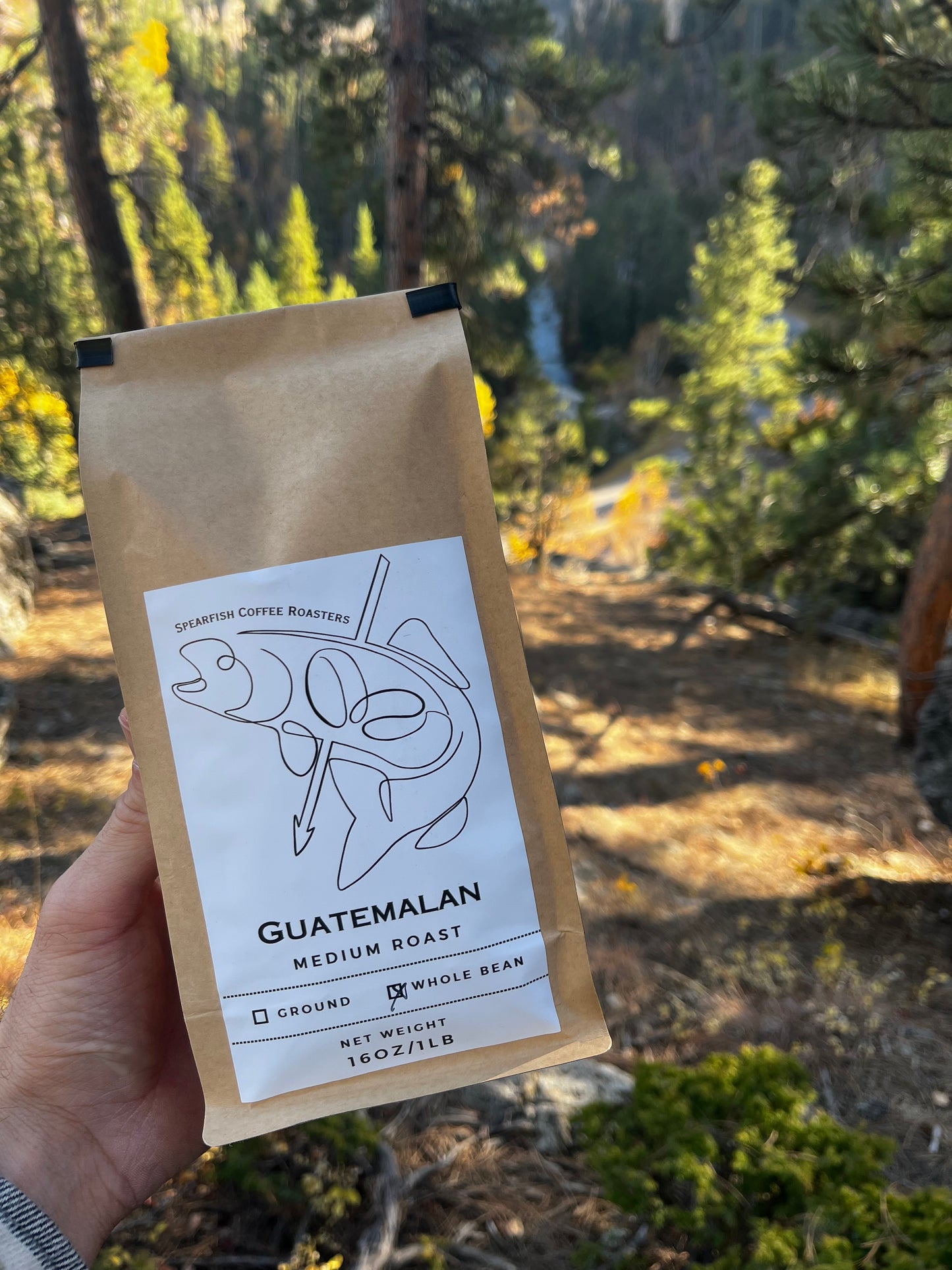 Guatemalan