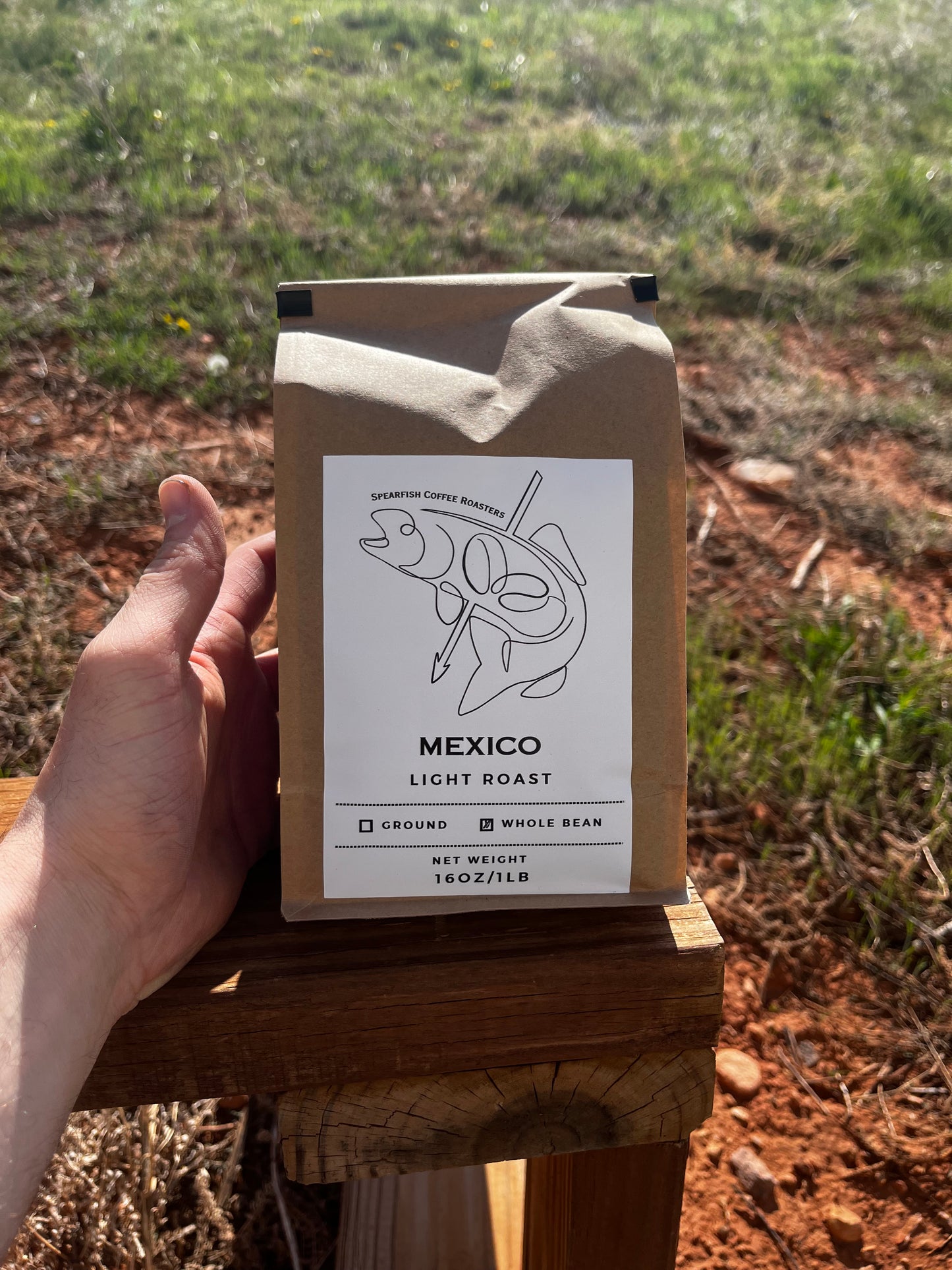 Mexico - Light Roast