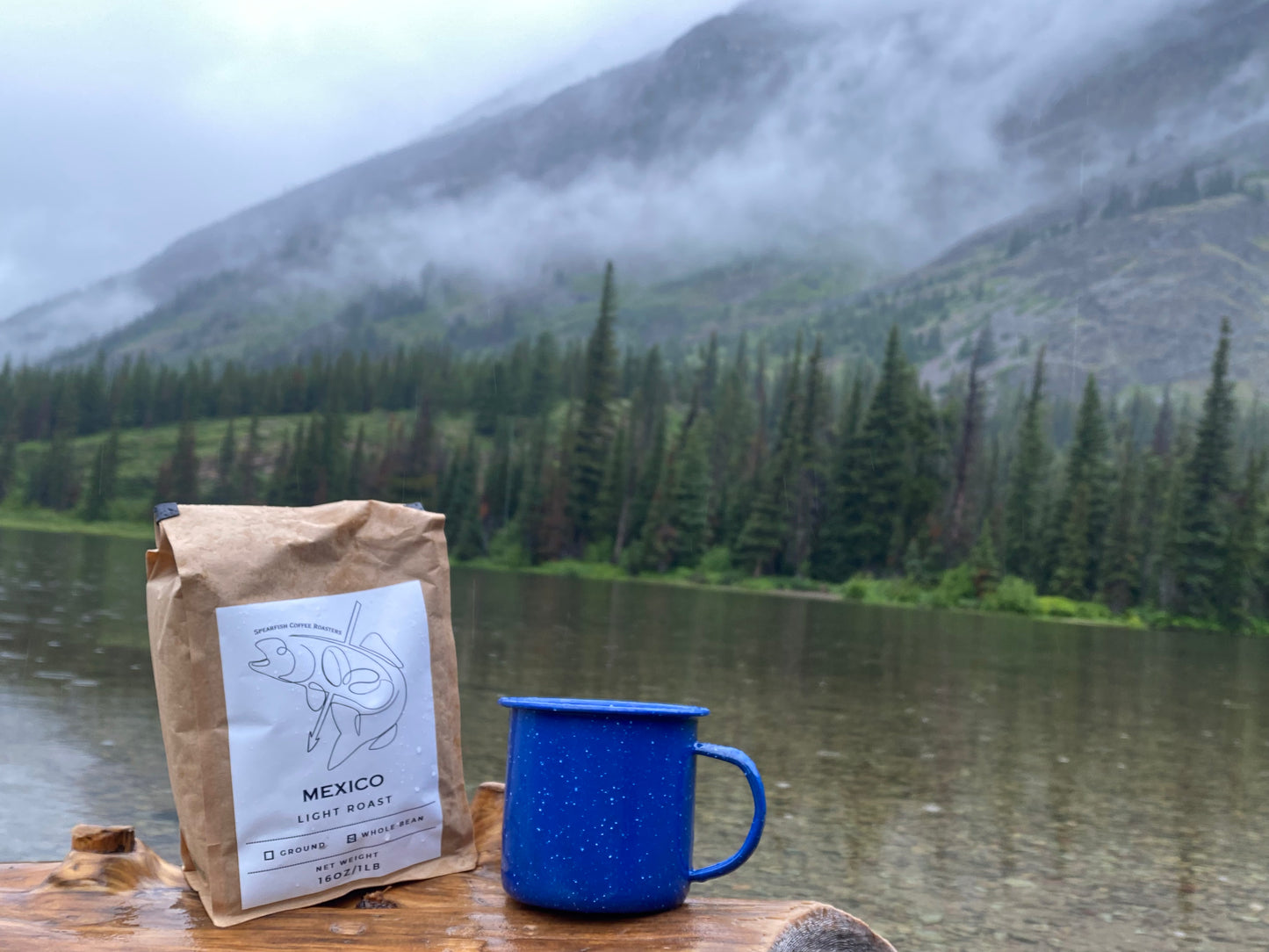 Mexico - Light Roast