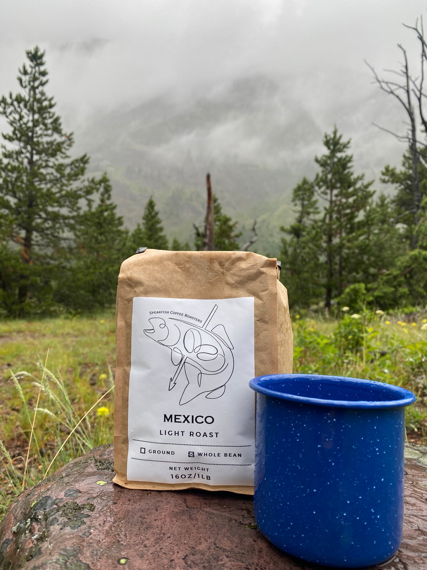 Mexico - Light Roast
