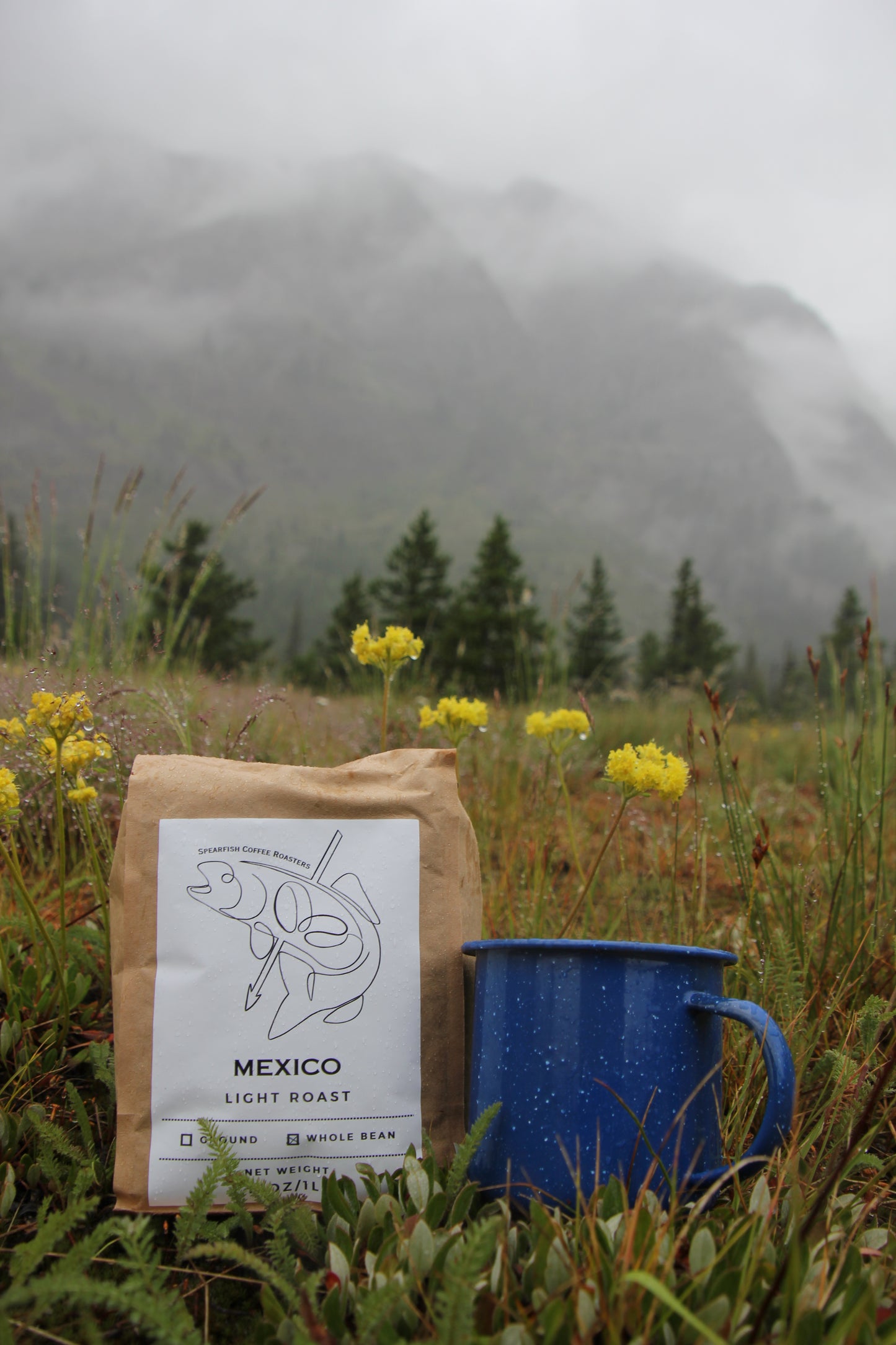 Mexico - Light Roast