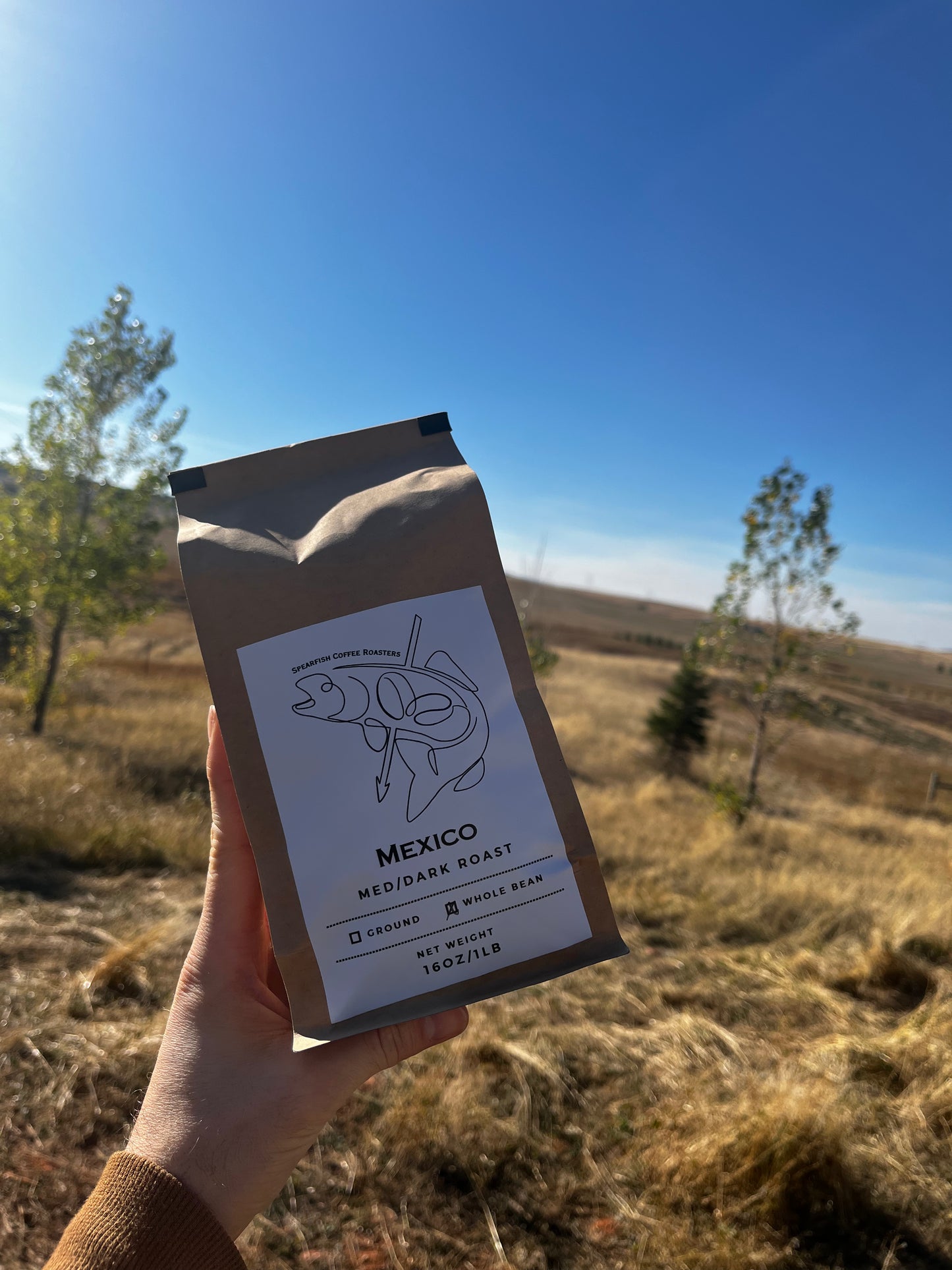 Mexico - Medium/Dark Roast