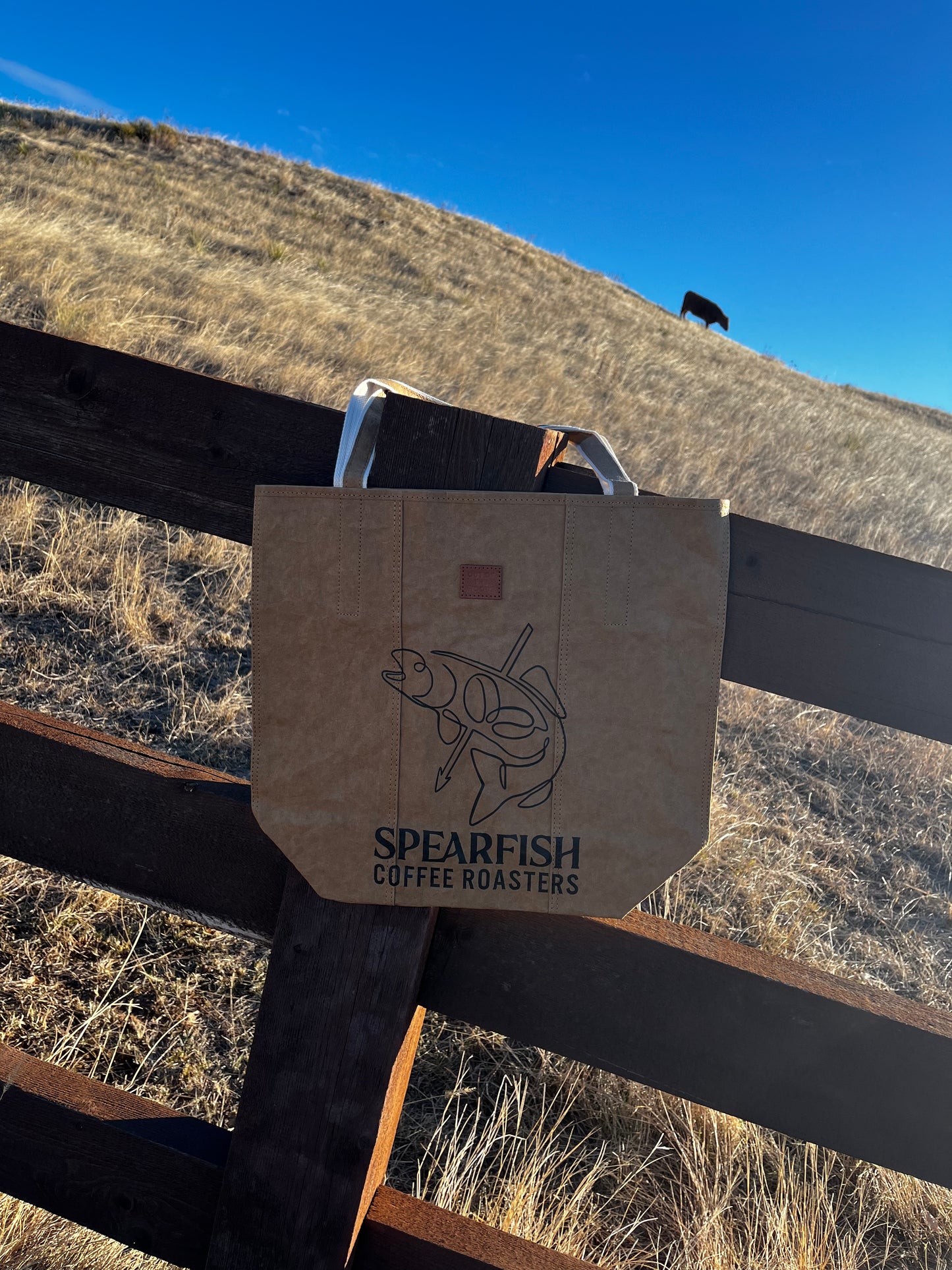 SCR Reusable Bag