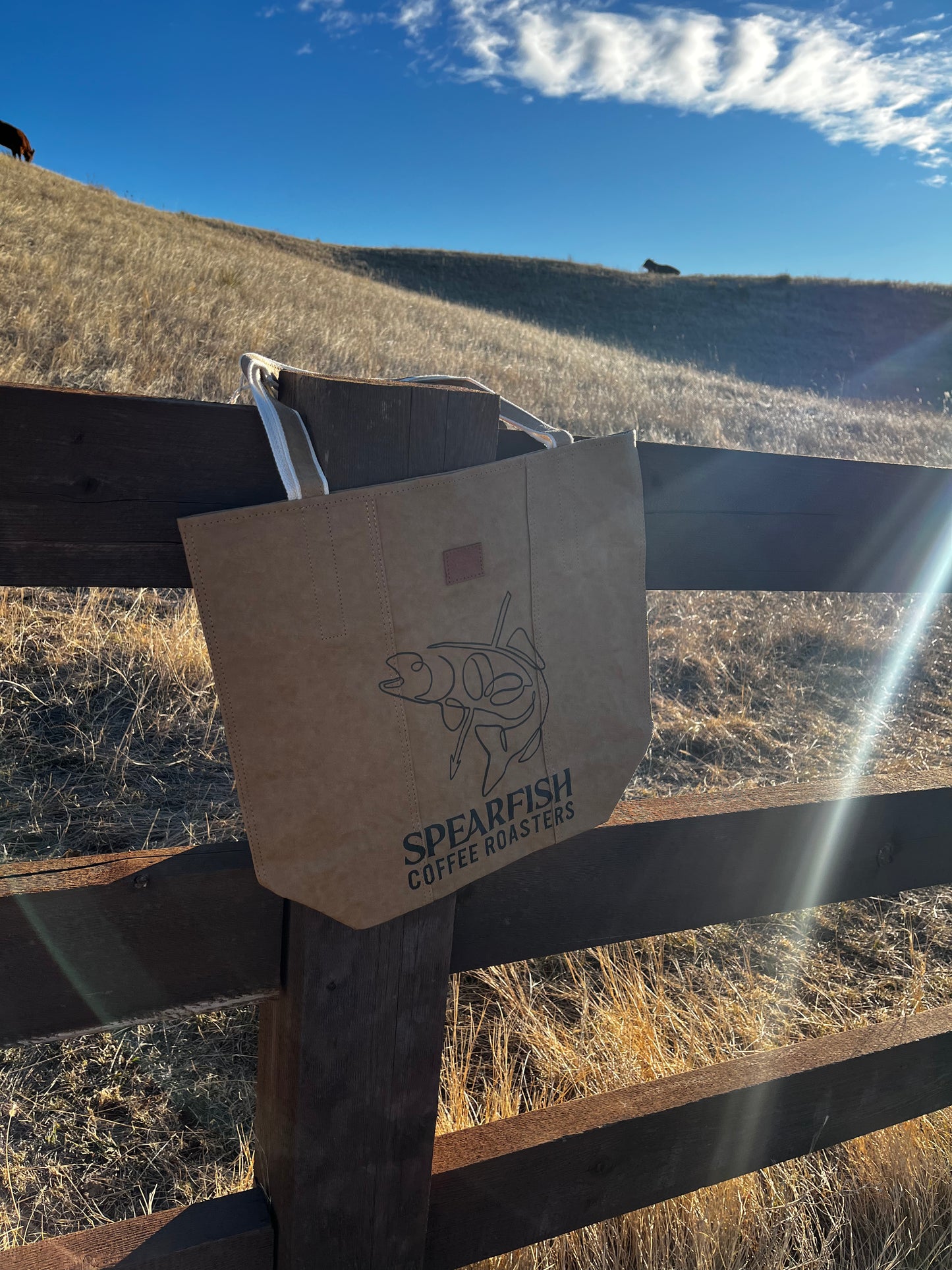 SCR Reusable Bag