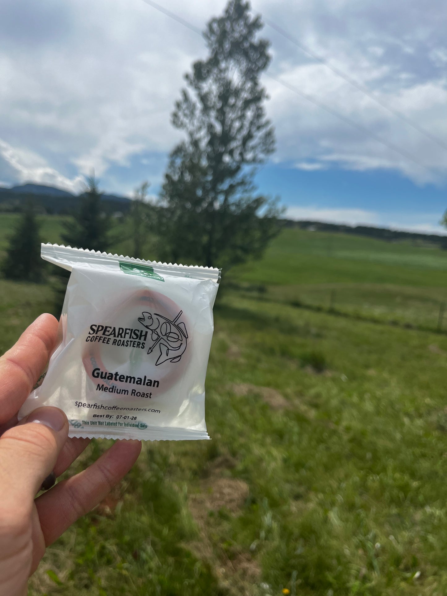 Green Pod (K-Cup)