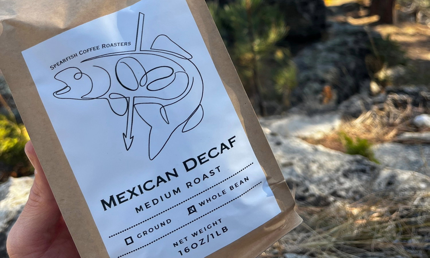 Spearfish Coffee Roasters Mexican Decaf Medium Roast Whole Bean in Nature