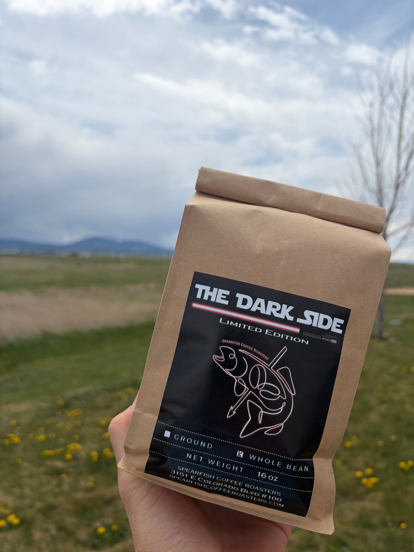 "The Dark Side"
