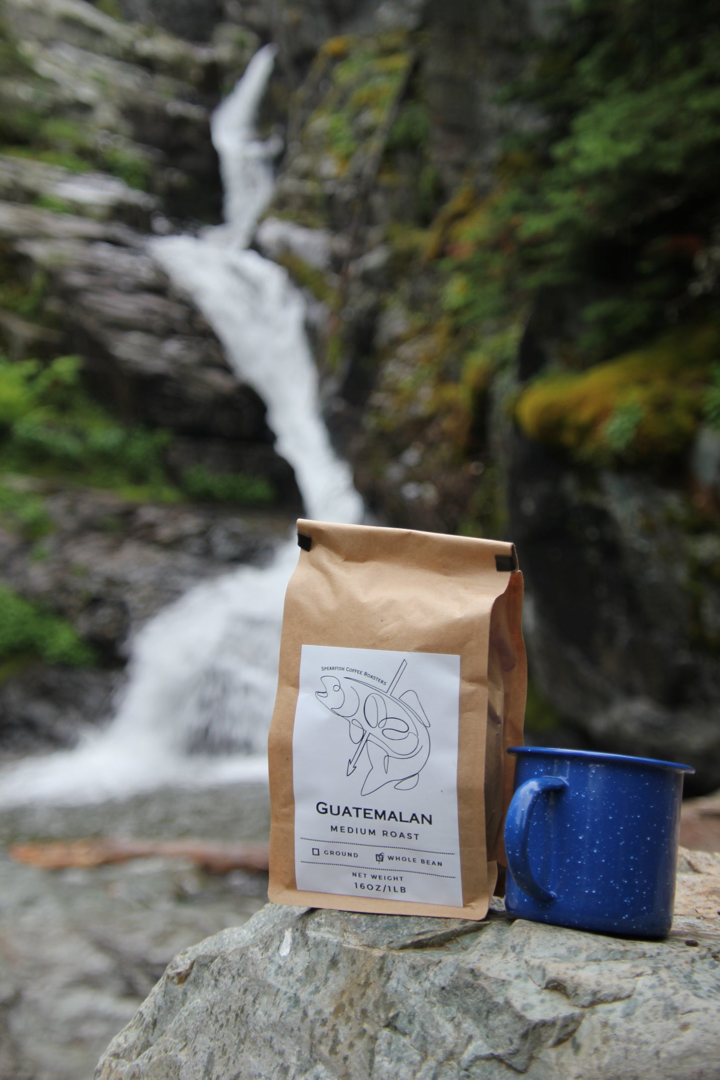 Guatemalan - Medium Roast
